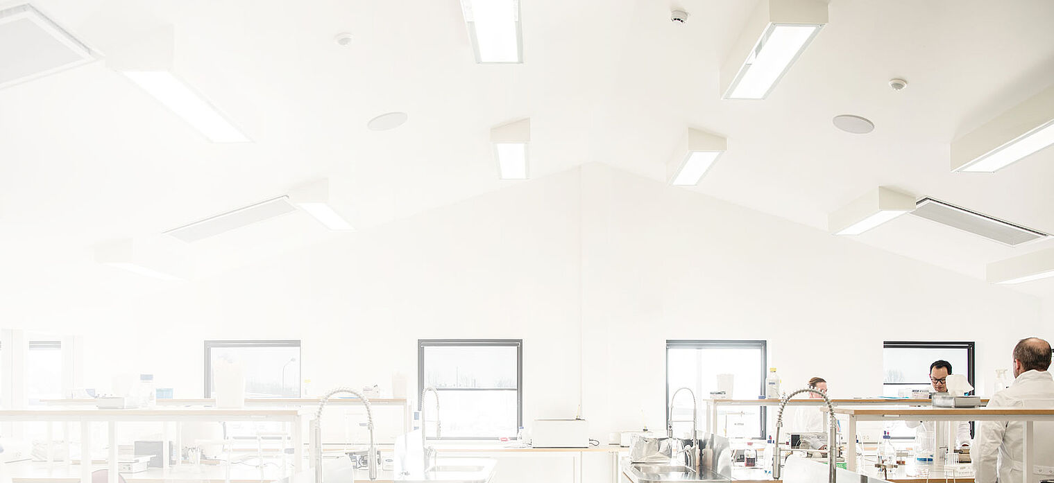 Bright, spacious laboratory with several scientists working at their stations, illuminated by natural light from large windows.